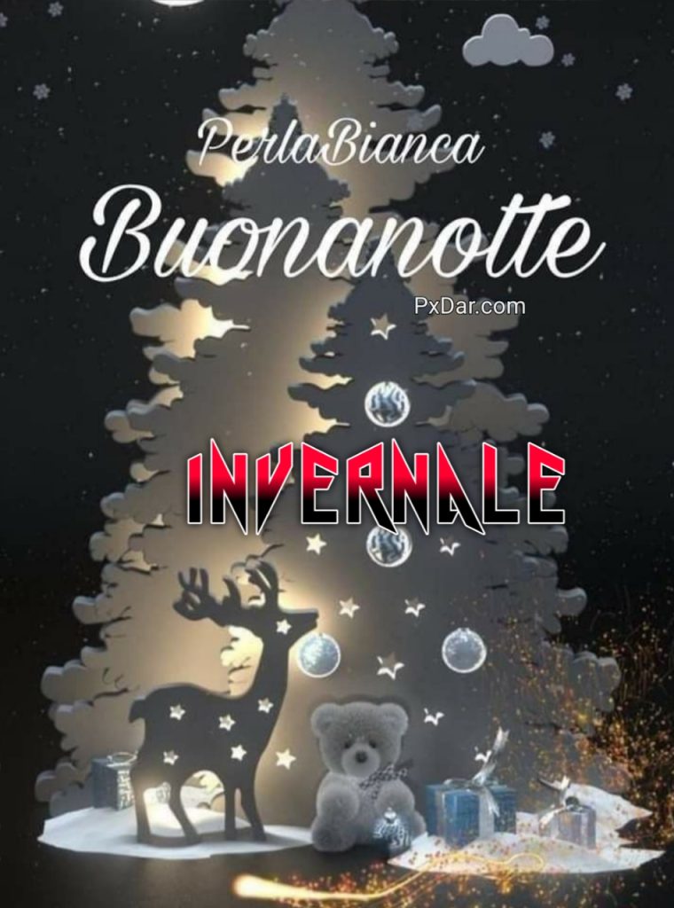 Immagini Buonanotte Invernale