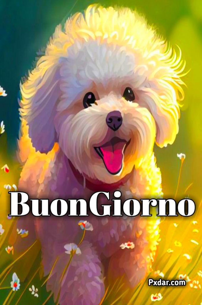 Immagini Buonanotte Nuove 2024 Cani