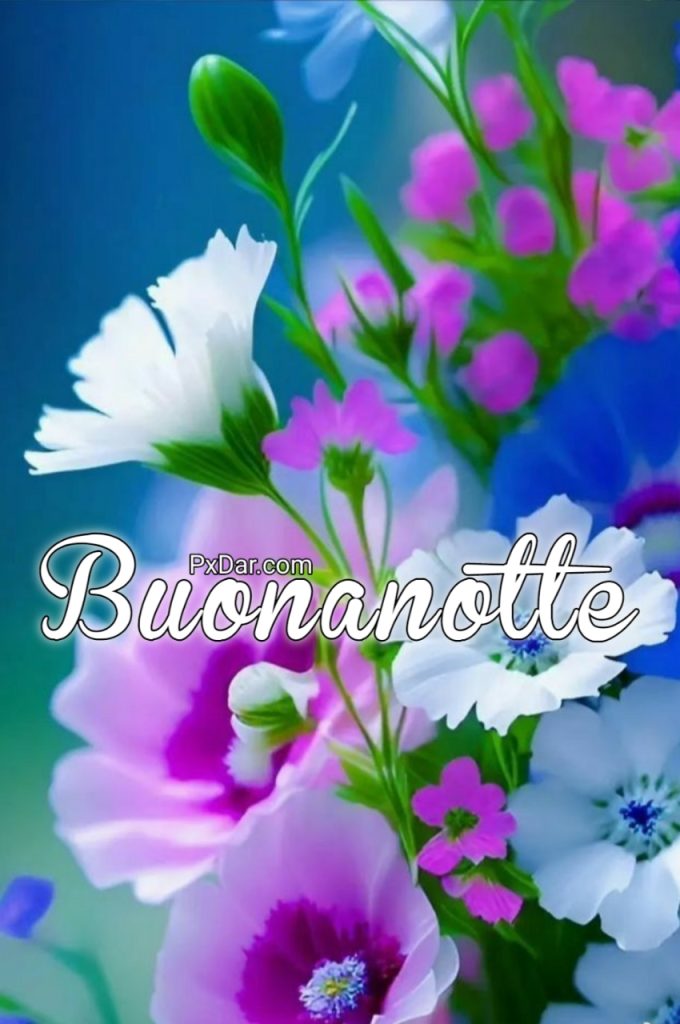 Immagini Buonanotte Simpatiche