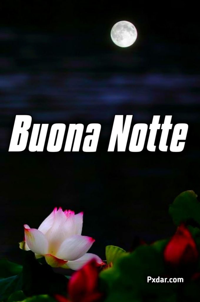 Immagini Buonanotte Simpatiche