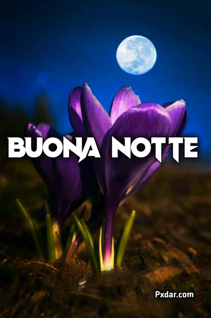 Immagini Buonanotte Simpatiche E Gentili