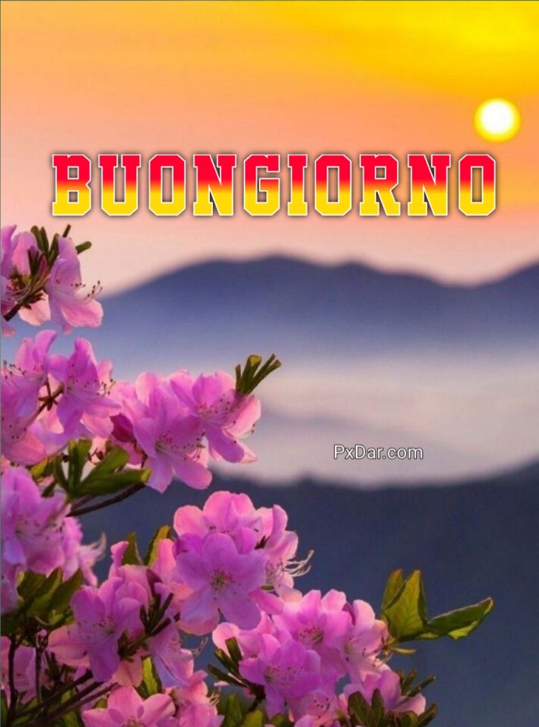 Immagini Buongiorno