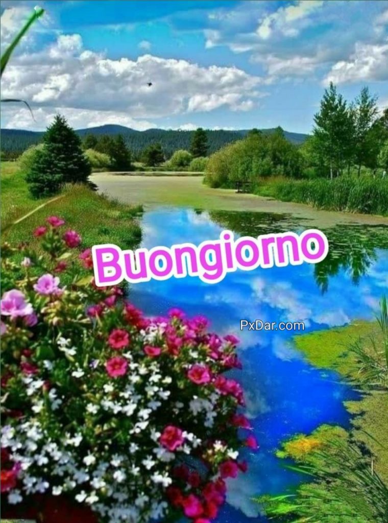 Immagini Buongiorno Gratis