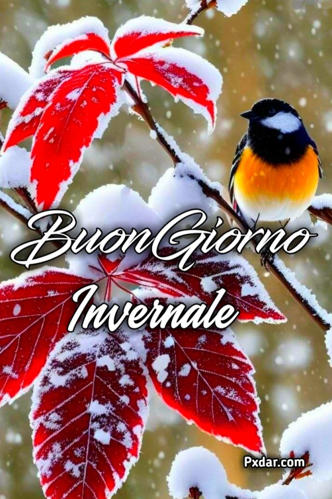 Immagini Buongiorno Invernali