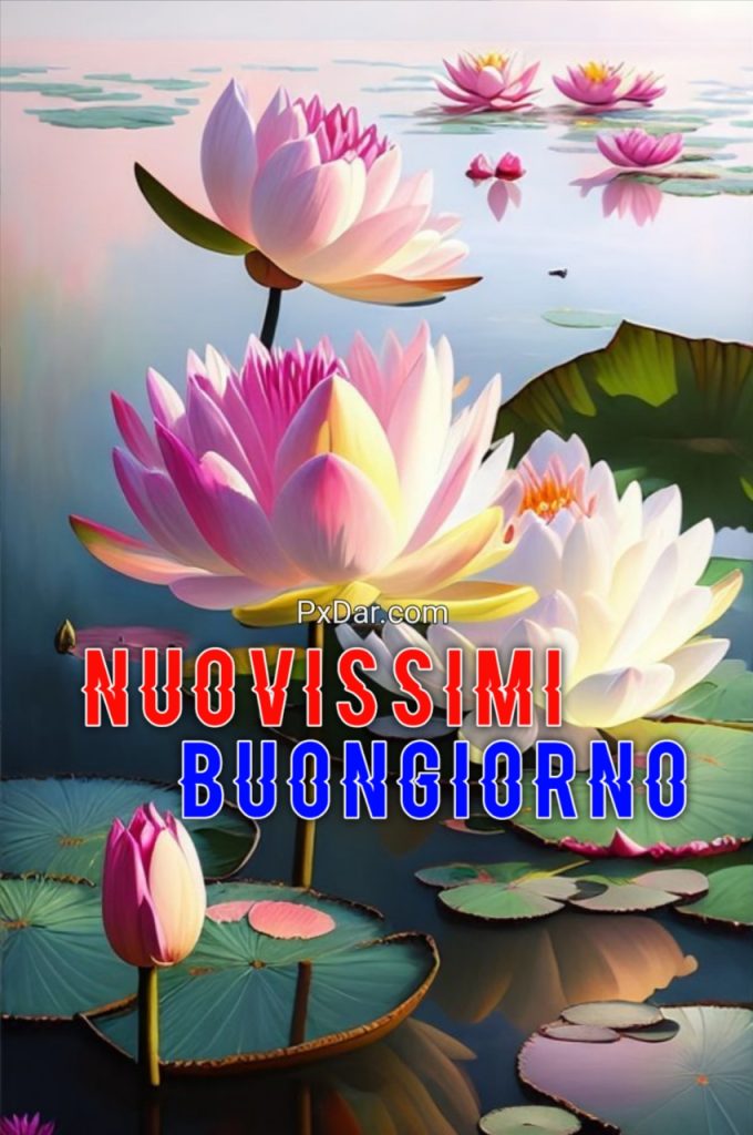 Immagini Buongiorno Natalizie