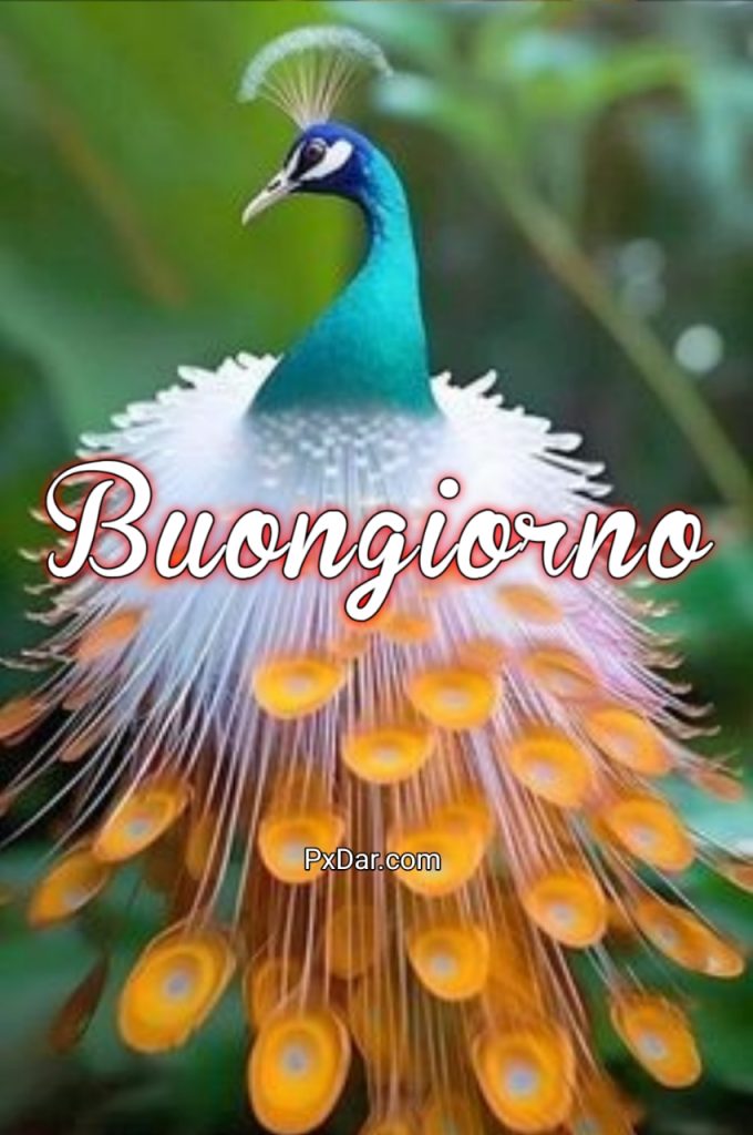 Immagini Buongiorno Nuove