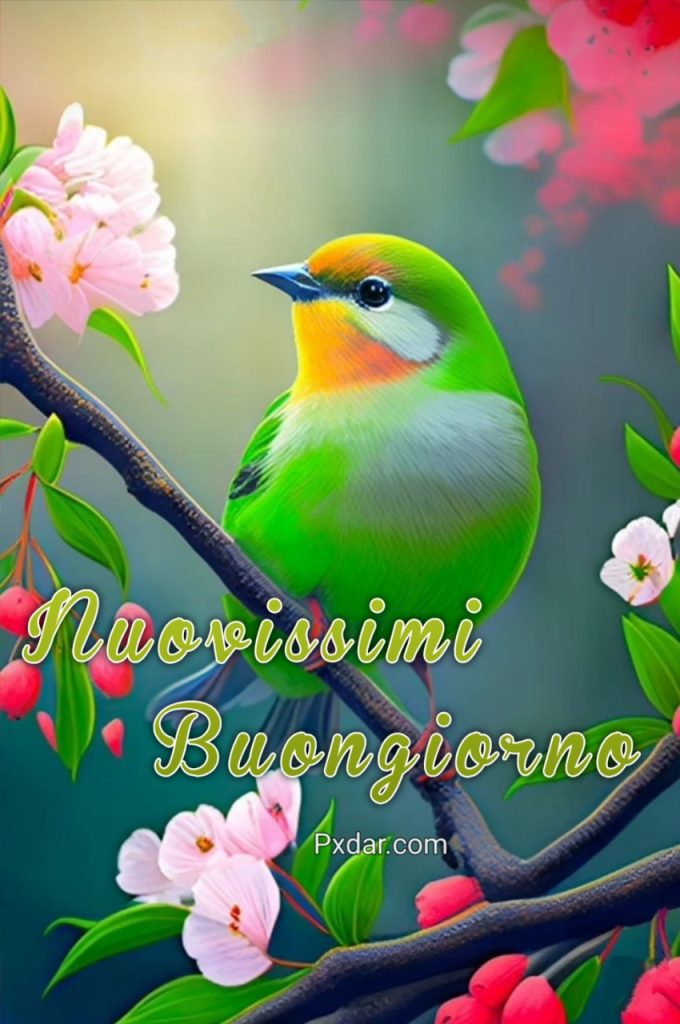 Immagini Buongiorno Nuove