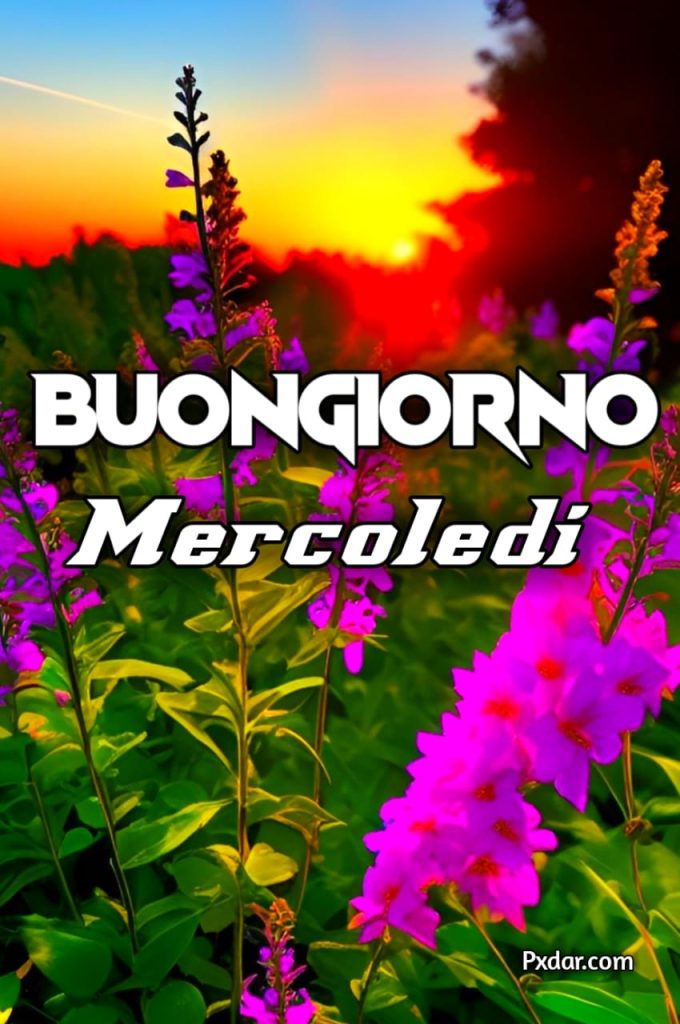 Immagini Di Buon Mercoledì