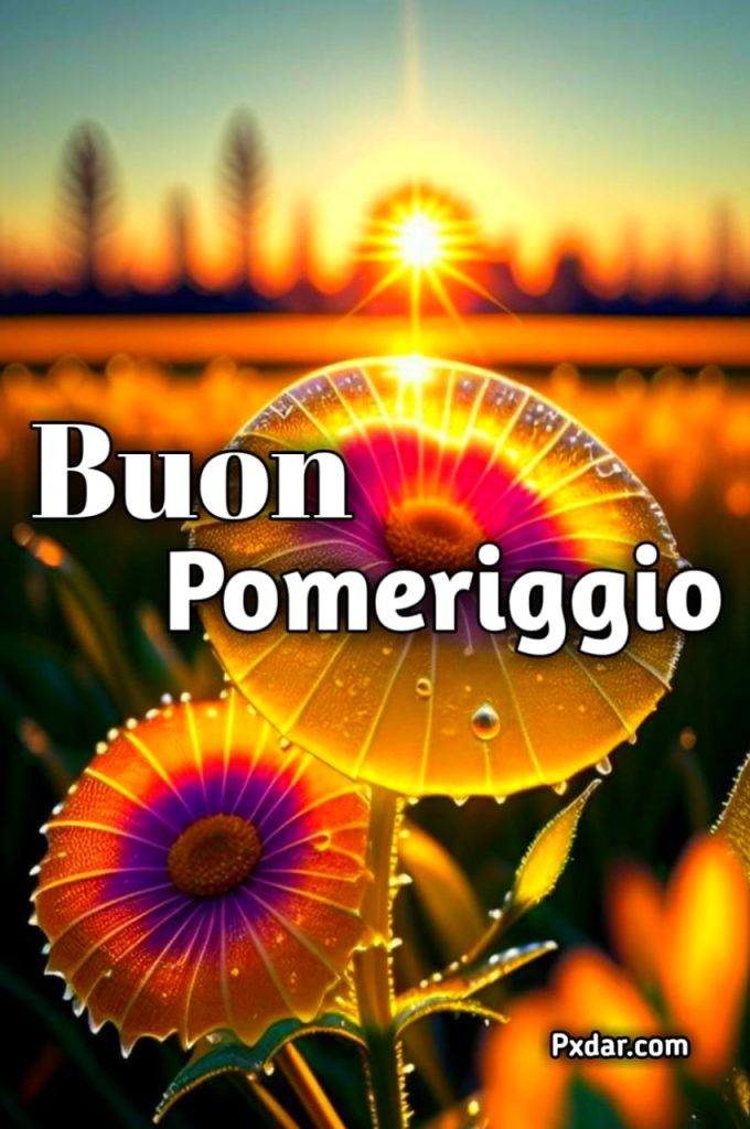 Immagini Di Buon Pomeriggio Nuove