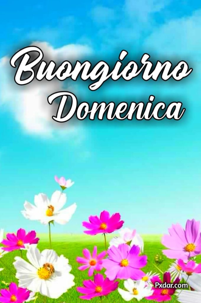 Immagini Di Buona Domenica