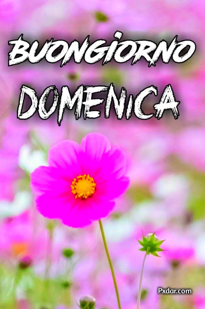 Immagini Di Buona Domenica Nuove (1)