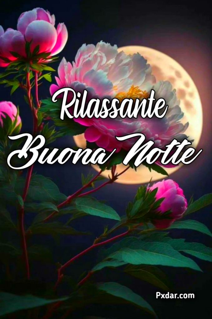 Immagini Di Buona Notte Rilassante