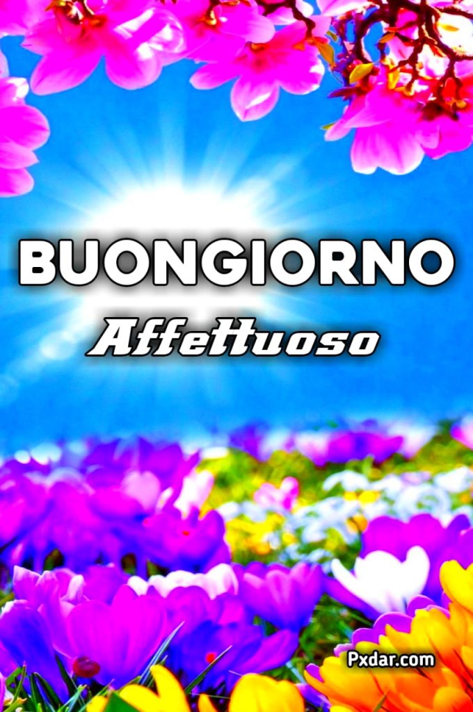 Immagini Di Buongiorno Affettuoso