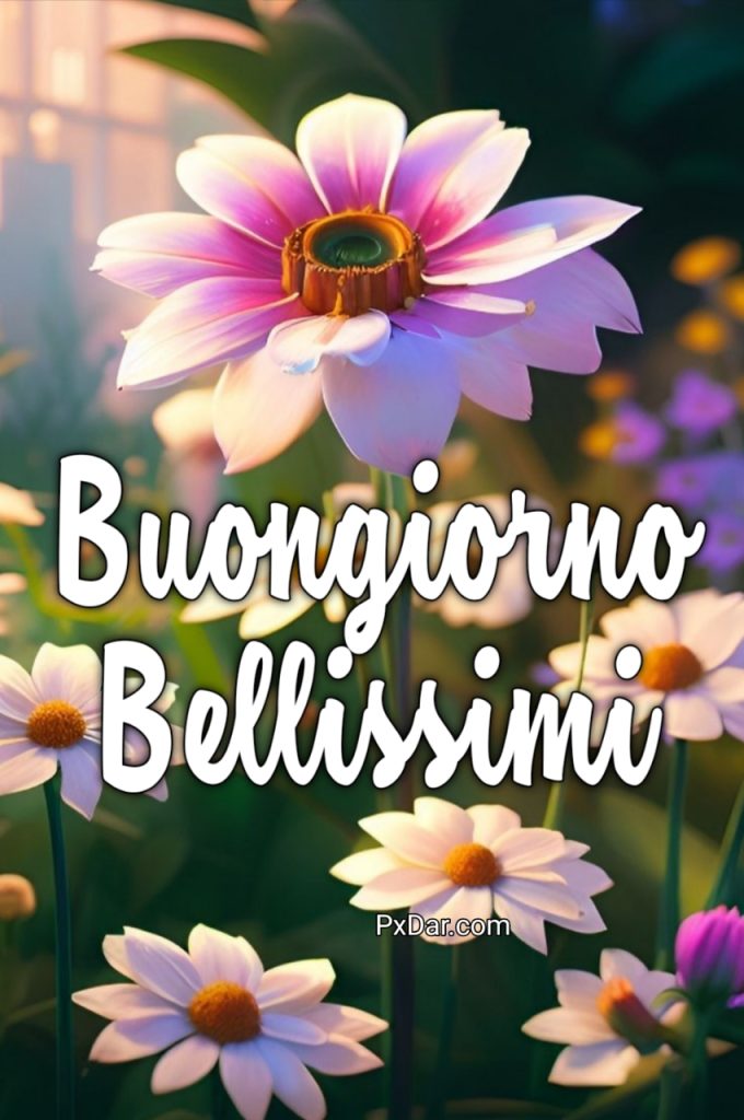 Immagini Di Buongiorno Bellissimi