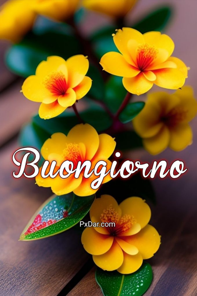 Immagini Di Buongiorno Nuove