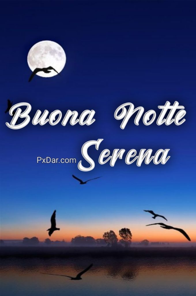 Immagini Di Una Buona Notte Serena