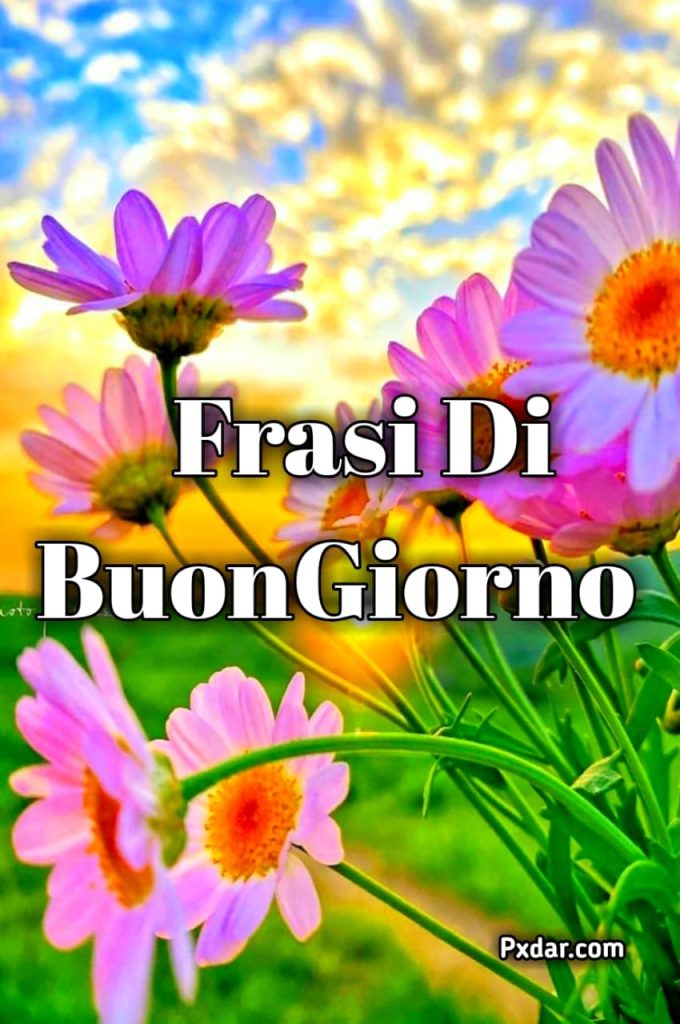 Immagini E Frasi Di Buongiorno