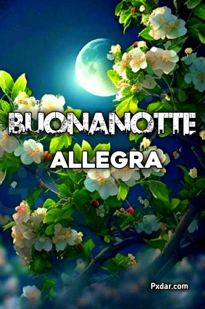 Immagini Nuove Buonanotte Allegra