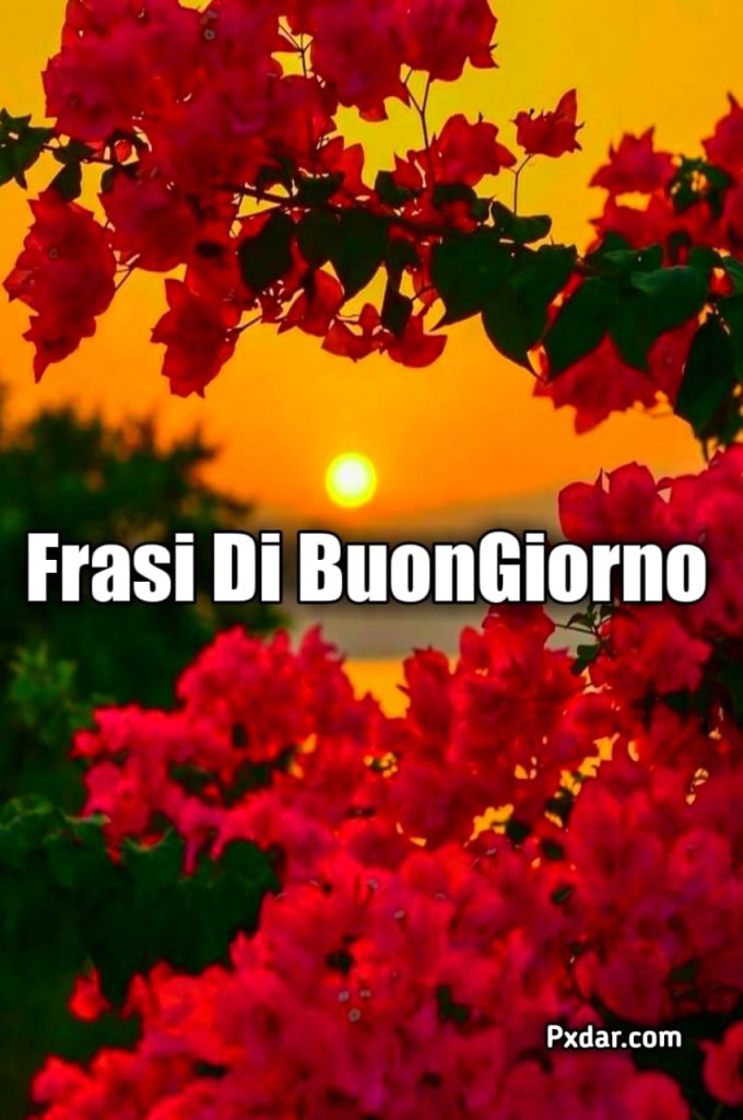 La Vita Di Tutto Di Più Buongiorno