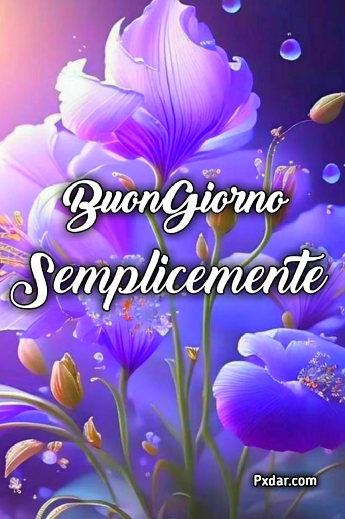 Le Ali Del Sorriso Buongiorno Immagini Nuove Gratis