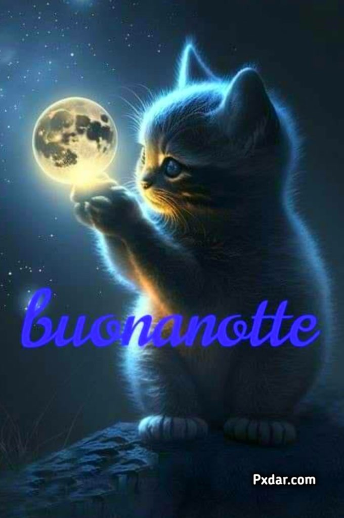 Le Fate Del Sole Buonanotte Immagini Nuove Gratis Per Whatsapp