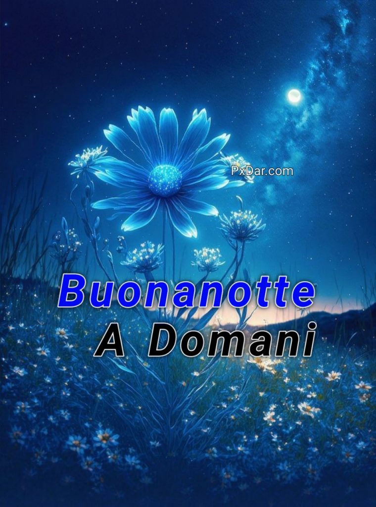 Le Fate Del Sole Buonanotte Invernale