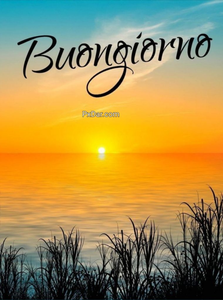 Le Fate Del Sole Buongiorno Immagini Nuove Gratis Per Whatsapp