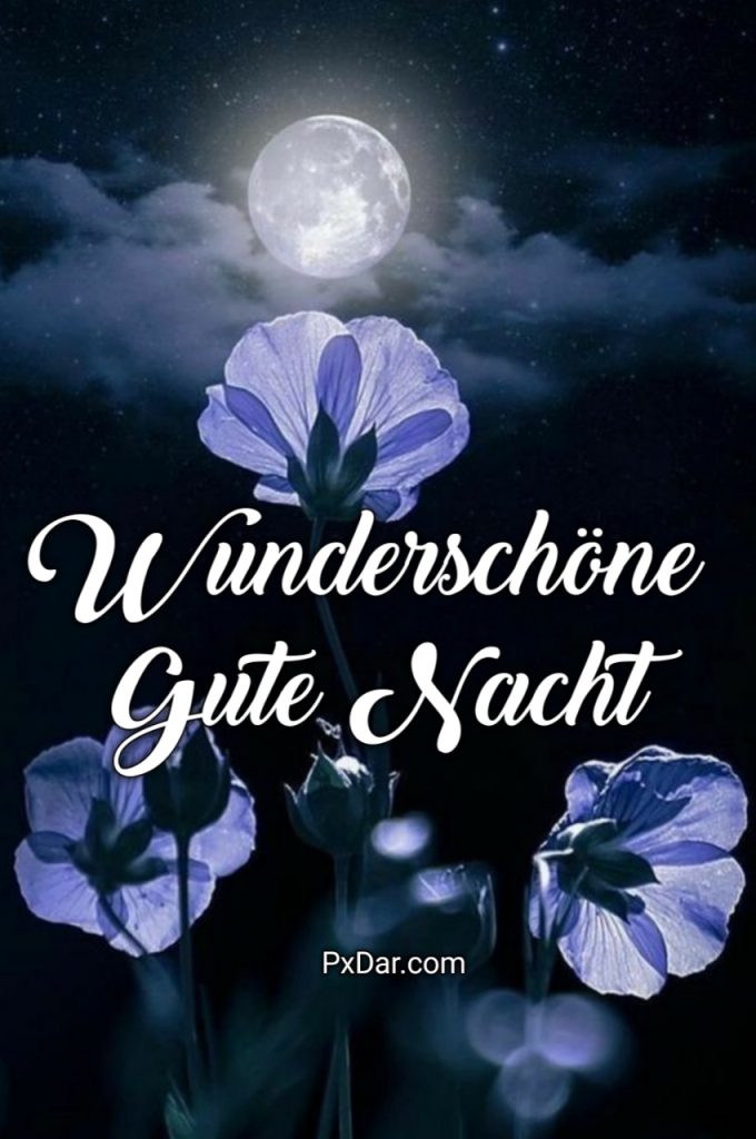 Liebe Gute Nacht Bilder Kostenlos