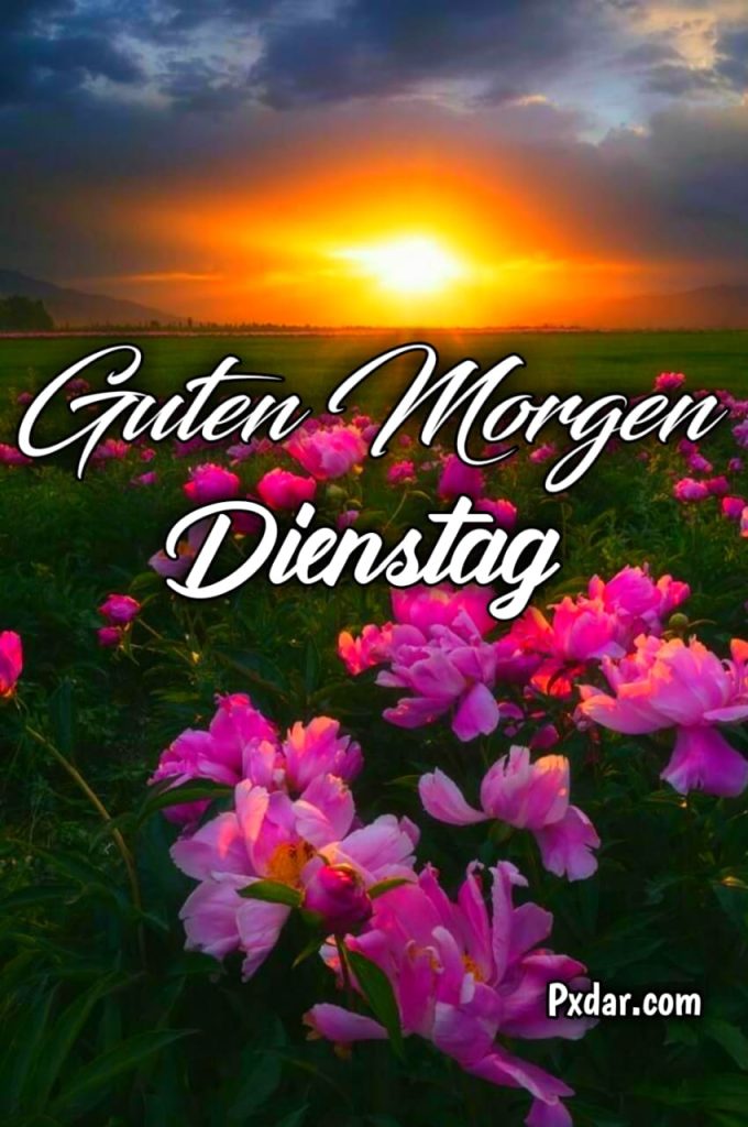 Liebe Guten Morgen Dienstag