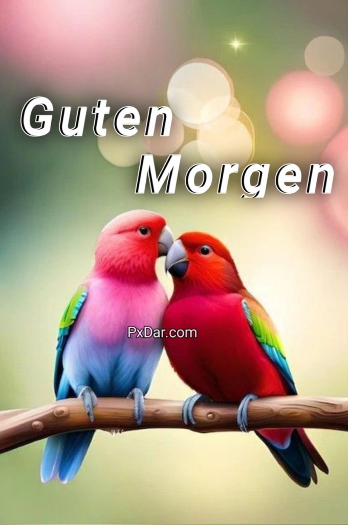 Liebes Guten Morgen Bilder