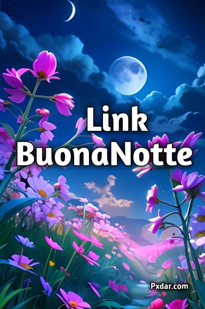 Link Buonanotte