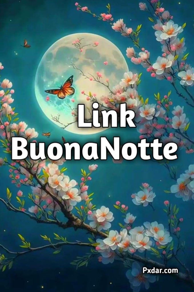 Link Buonanotte Gif