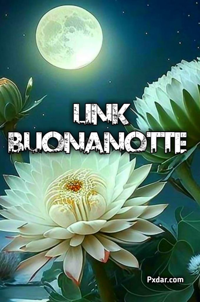 Link Buonanotte Nuovi