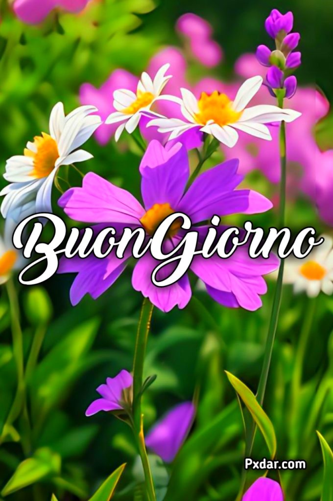 Link Buongiorno 2024