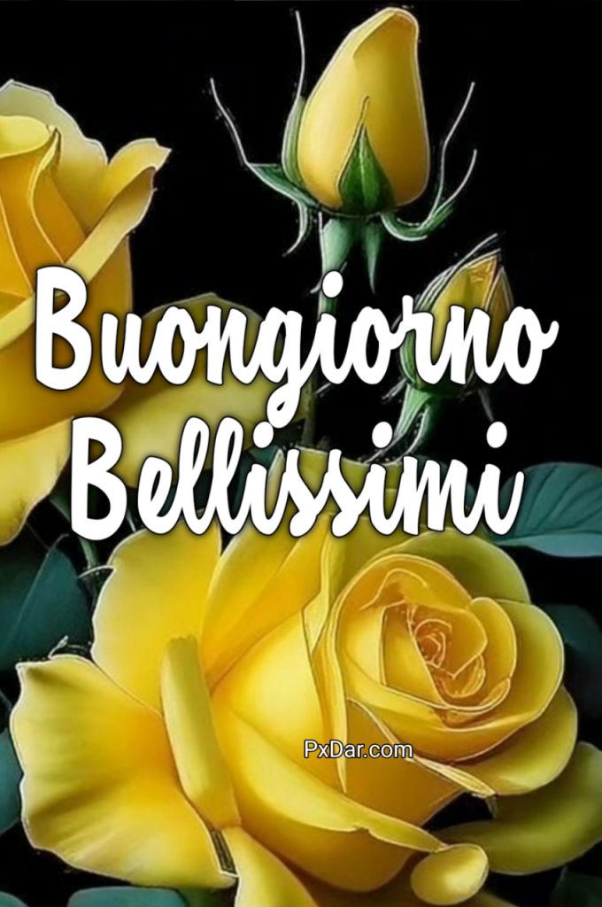 Link Buongiorno Bellissimi