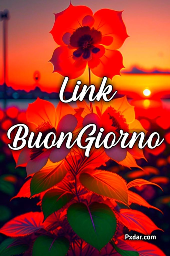 Link Buongiorno Whatsapp