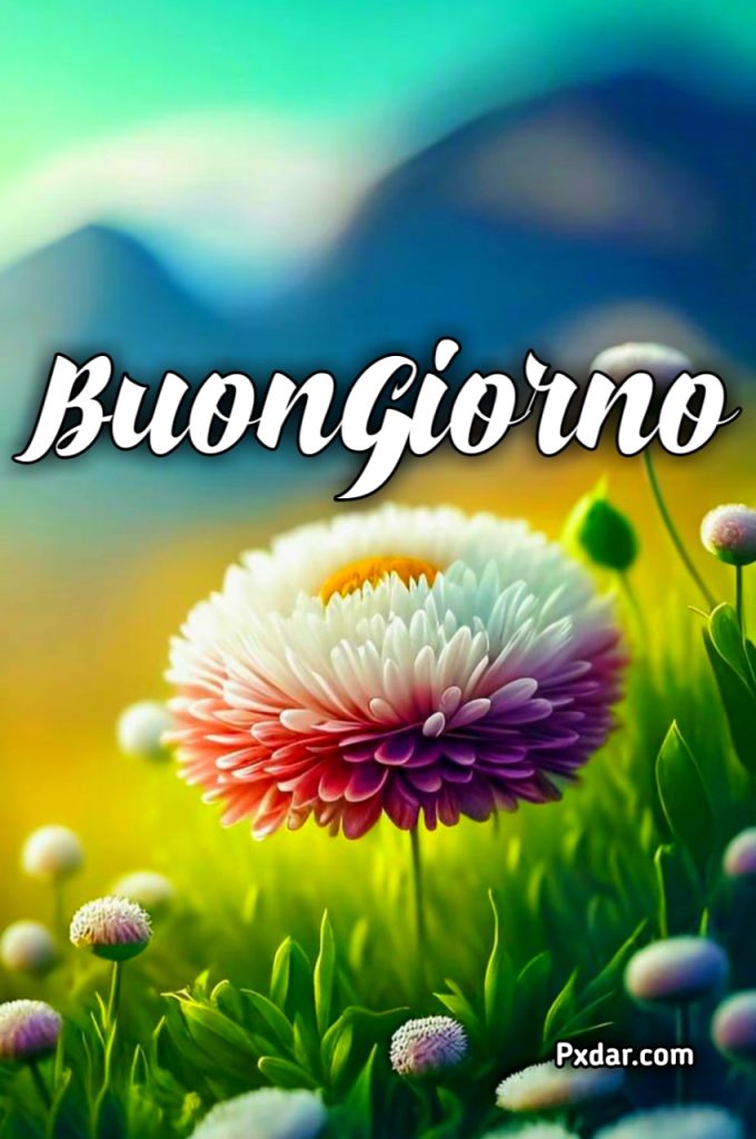 Link Del Buongiorno Bellissimi