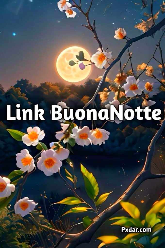 Link Della Buona Notte