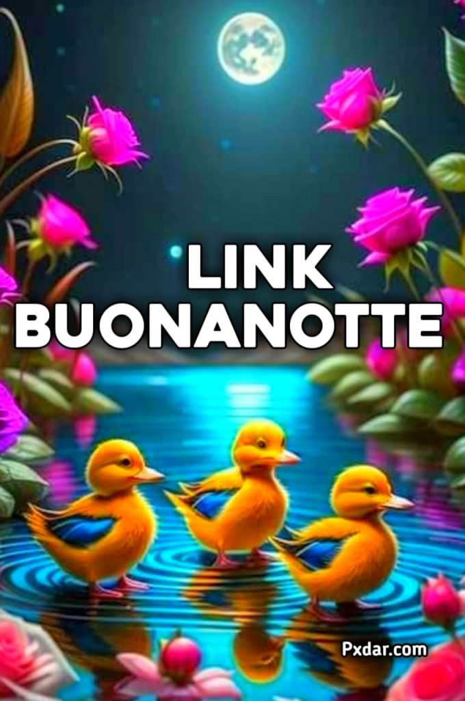 Link Di Buonanotte