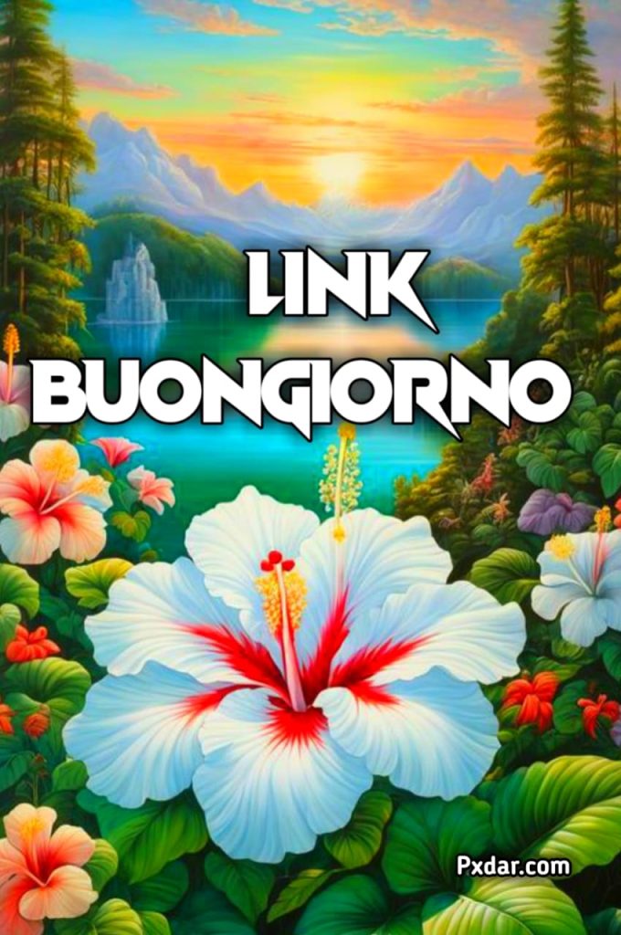 Link Di Buongiorno