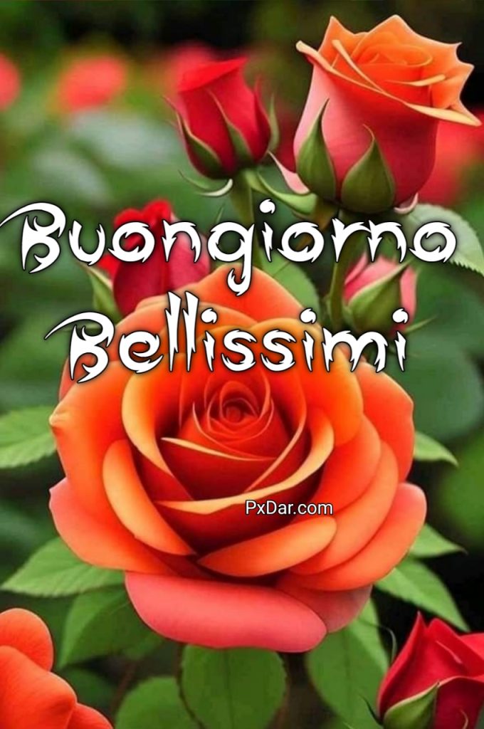 Link Di Buongiorno Bellissimi