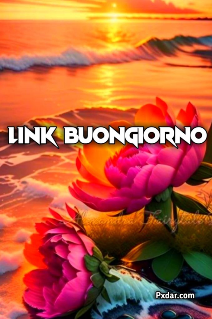 Link Di Goccia Di Rugiada Buongiorno