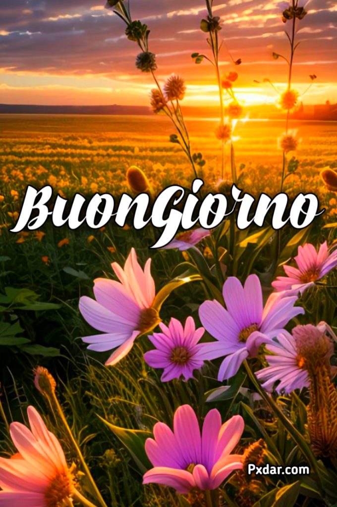 Lunedi Spiritoso Buongiorno