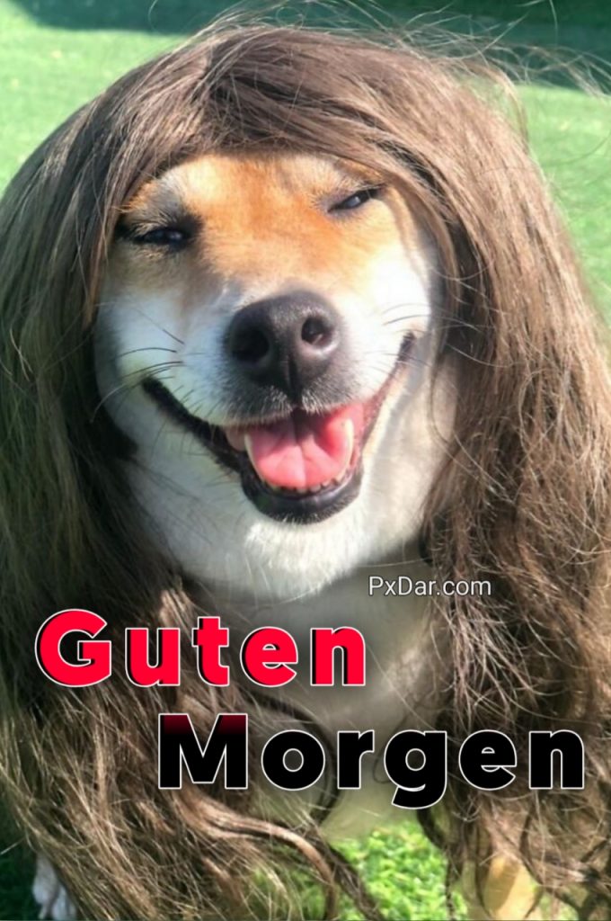 Lustig Freche Guten Morgen Grüße