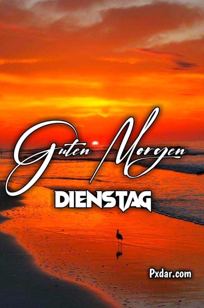 Lustige Guten Morgen Dienstag