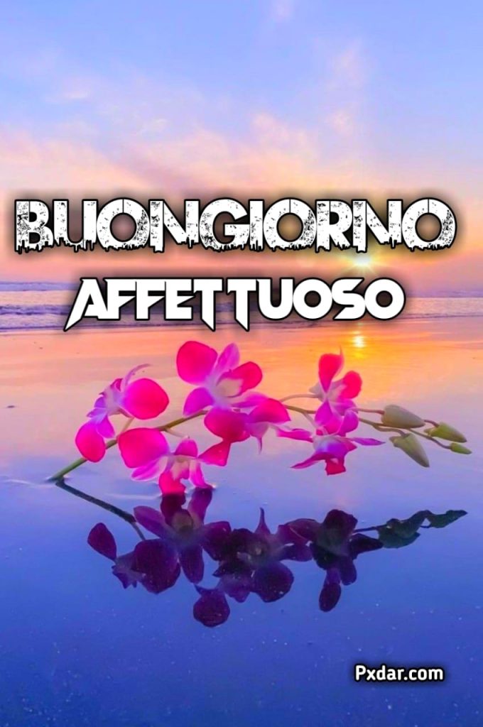 Messaggi Buongiorno Affettuosi