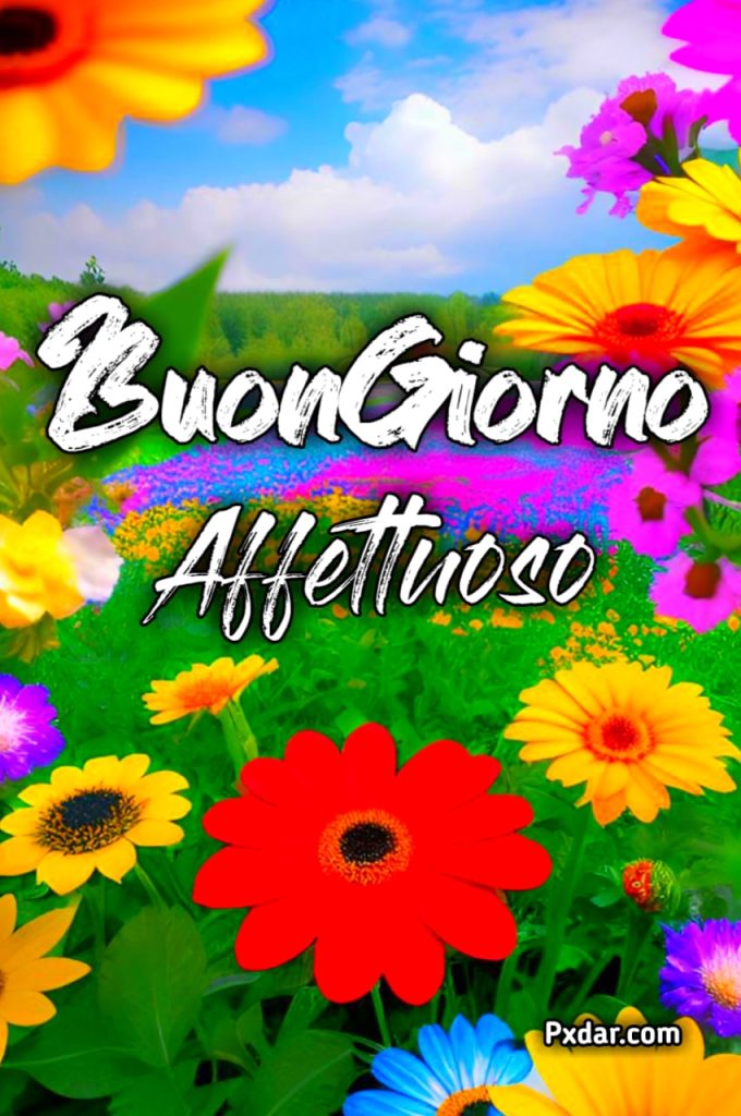 Messaggi Di Buongiorno Affettuosi Gratis