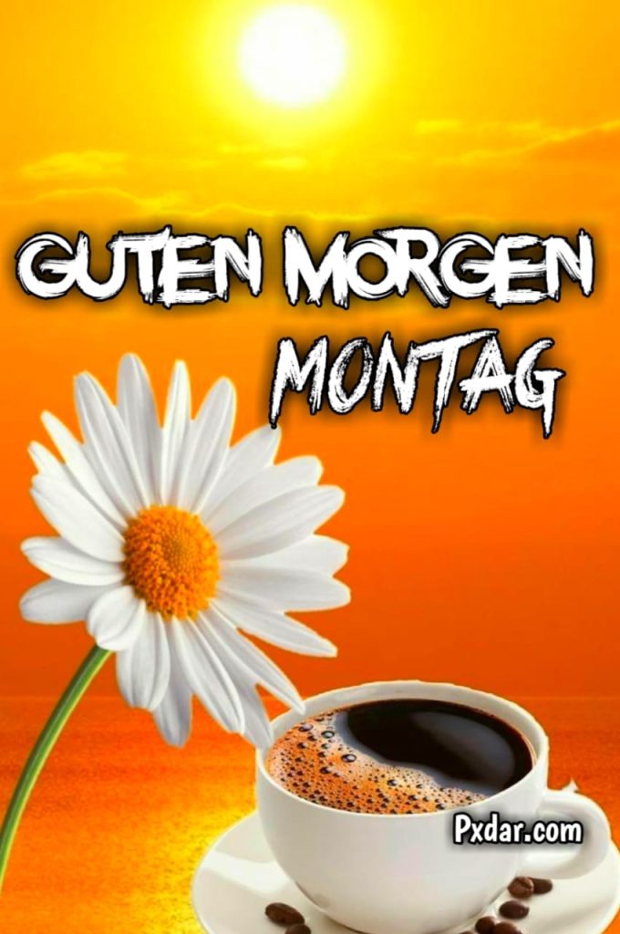 Montag Guten Morgen