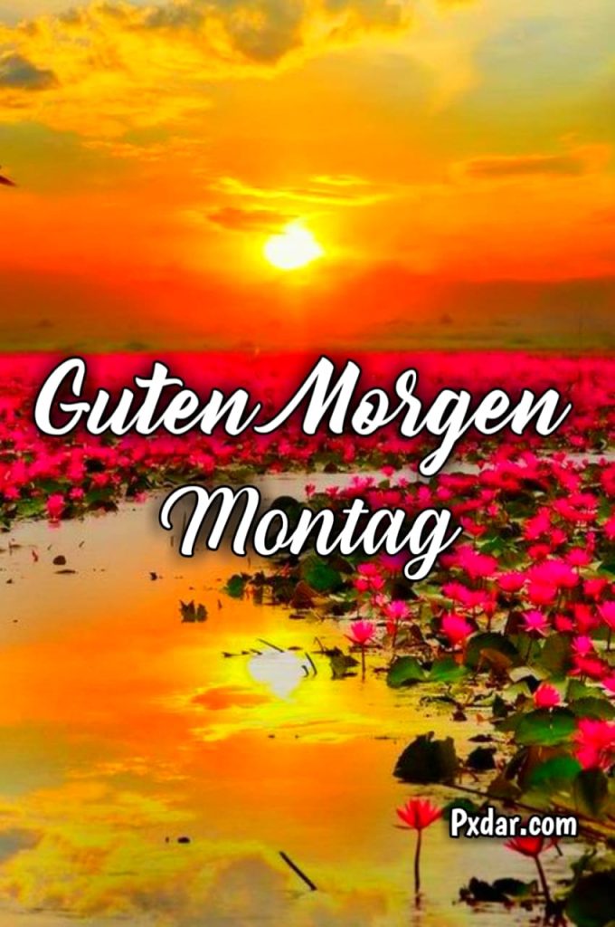 Montags Guten Morgen Grüße