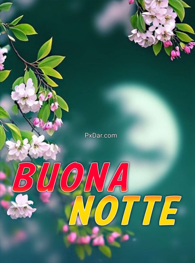 Nuovissimo Buonanotte Immagini Recenti